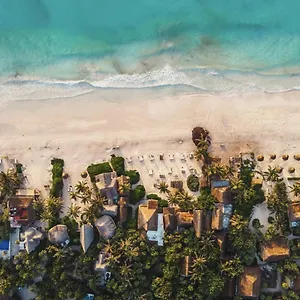 Hotel Casa Violeta Tulum